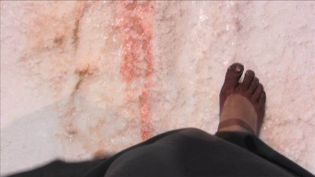 Berni SEARLE SEEKING REFUGE, 2008 Single channel video projection Colour, sound 5 minutes 56 secs Edition of 5 + 2...