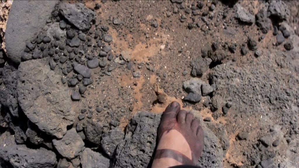 Berni SEARLE SEEKING REFUGE, 2008 Single channel video projection Colour, sound 5 minutes 56 secs Edition of 5 + 2...