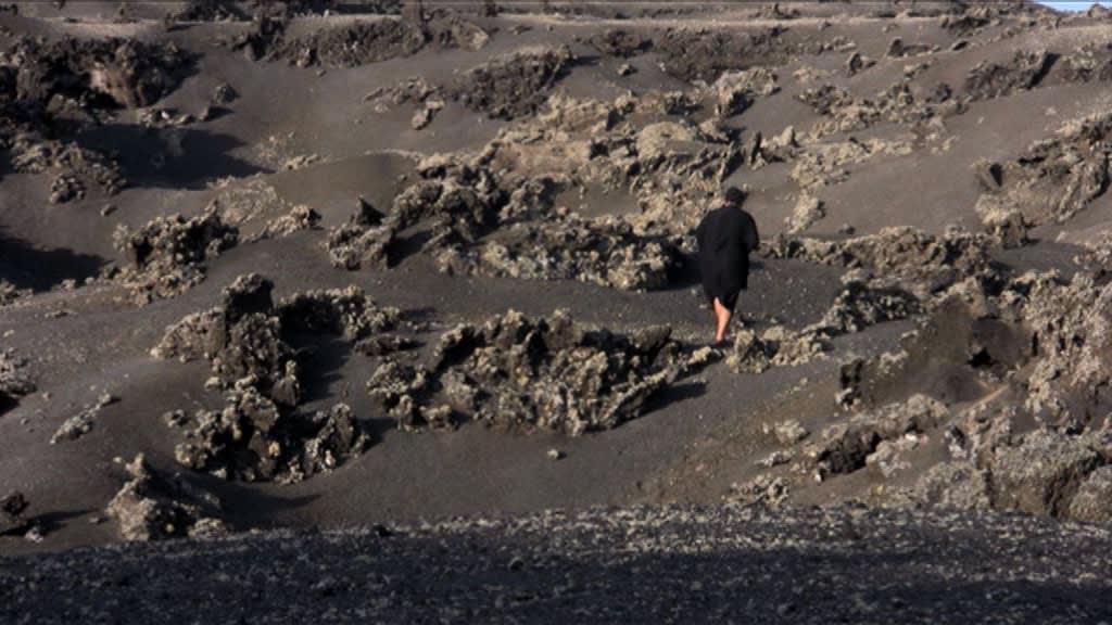 Berni SEARLE SEEKING REFUGE, 2008 Single channel video projection Colour, sound 5 minutes 56 secs Edition of 5 + 2...