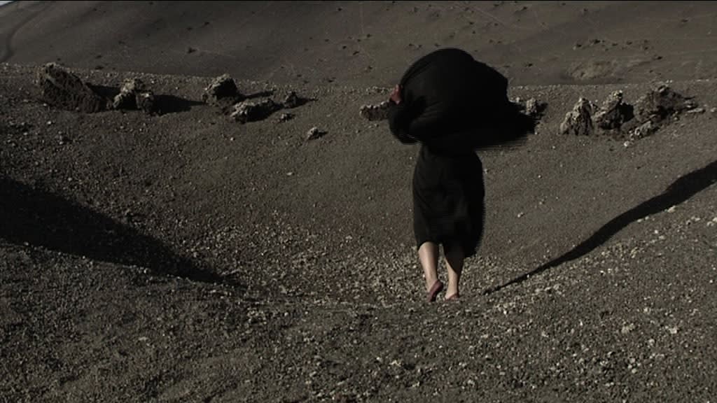 Berni SEARLE SEEKING REFUGE, 2008 Single channel video projection Colour, sound 5 minutes 56 secs Edition of 5 + 2...