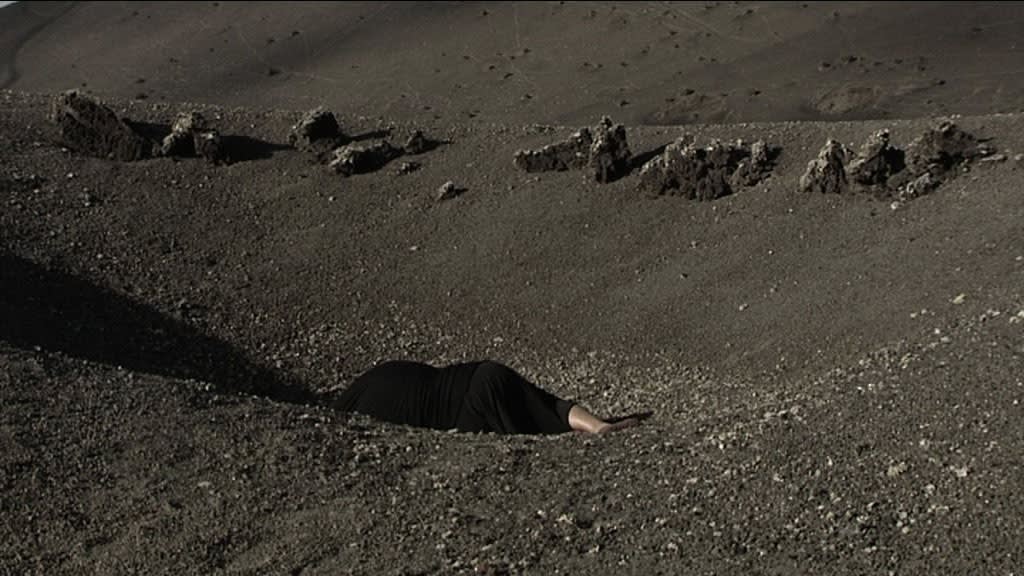 Berni SEARLE SEEKING REFUGE, 2008 Single channel video projection Colour, sound 5 minutes 56 secs Edition of 5 + 2...