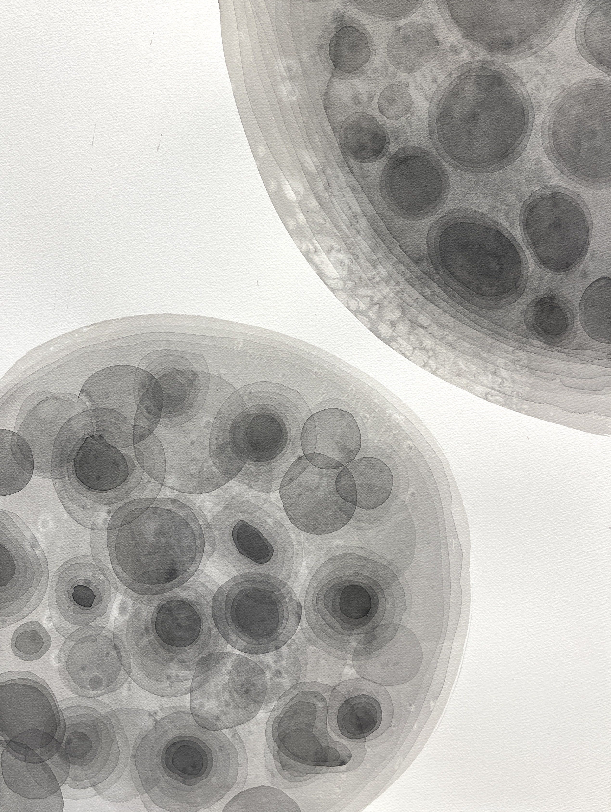 LISTEN TO THE AUDIO DESCRIPTION OF THE ARTWORK→