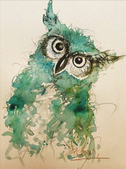 Teal Owl