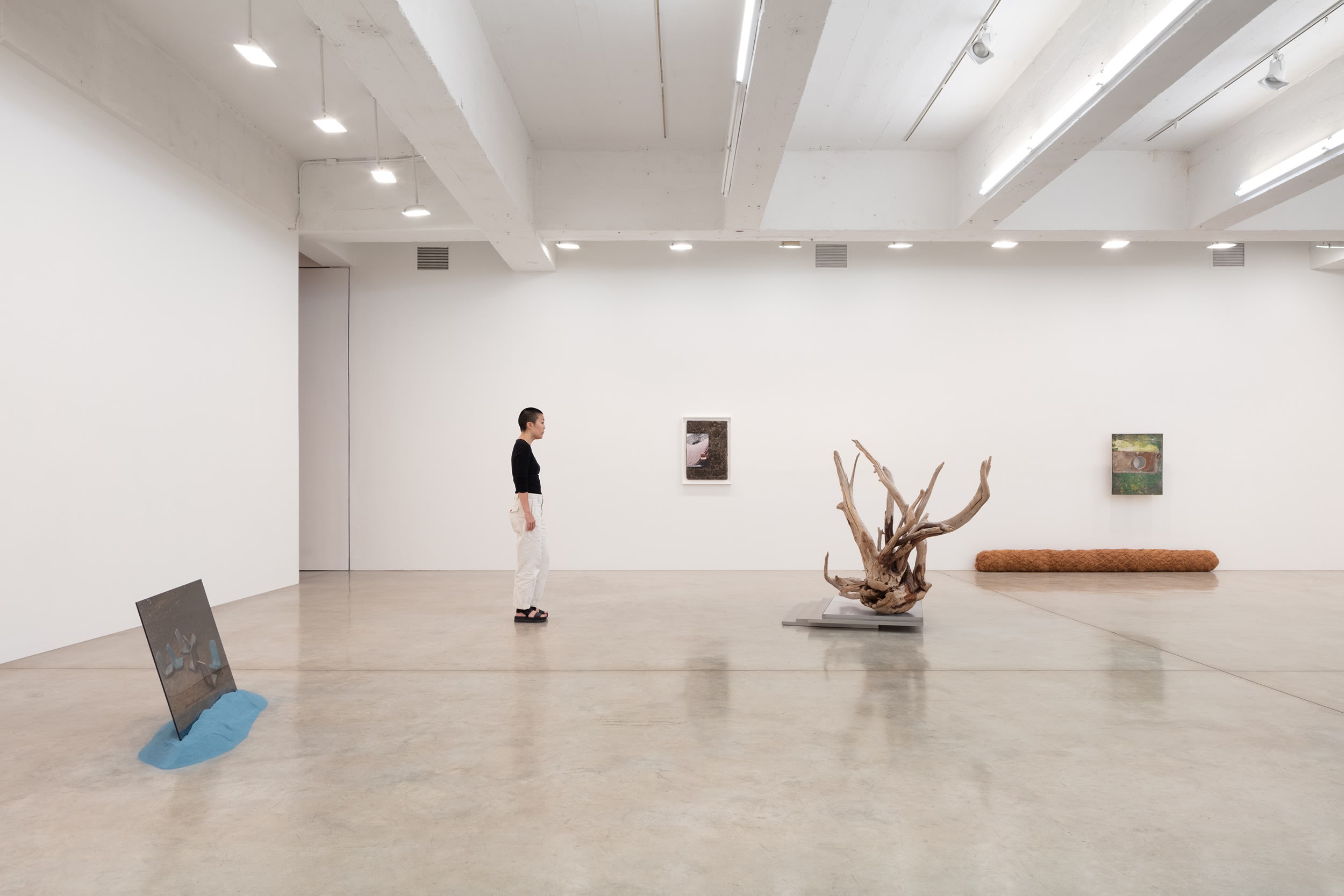 karyn olivier install image