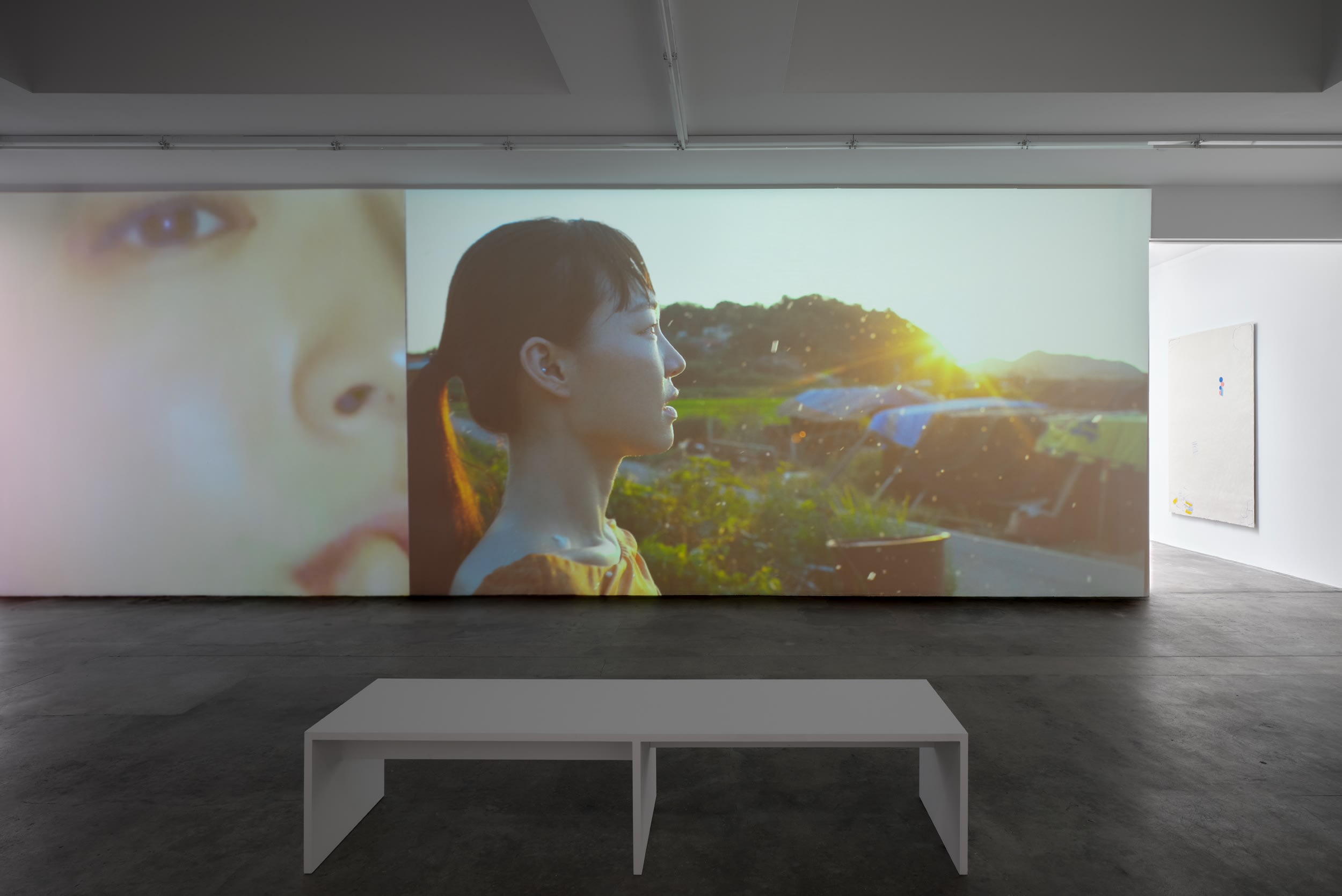 install of view works