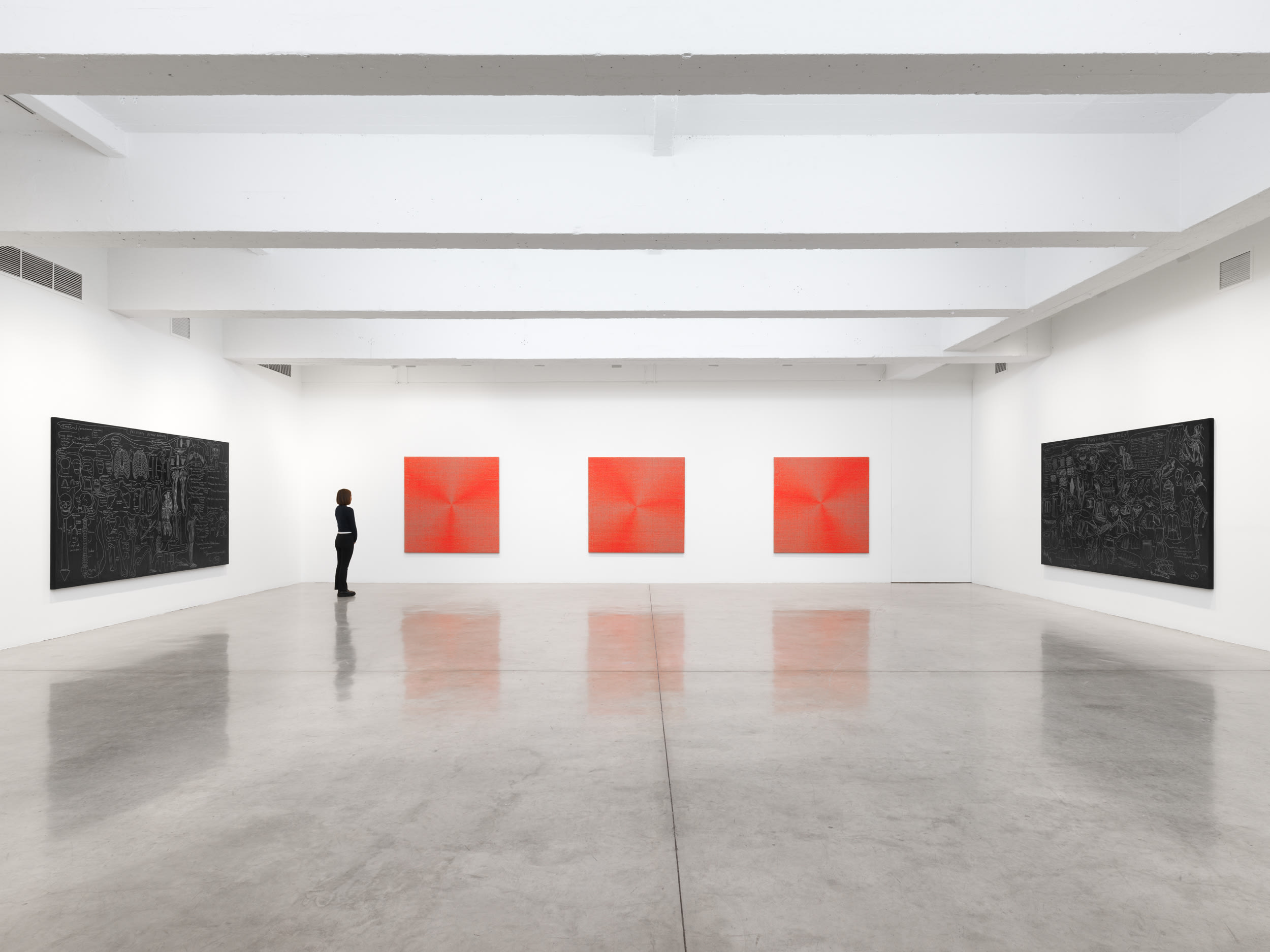 analia install image