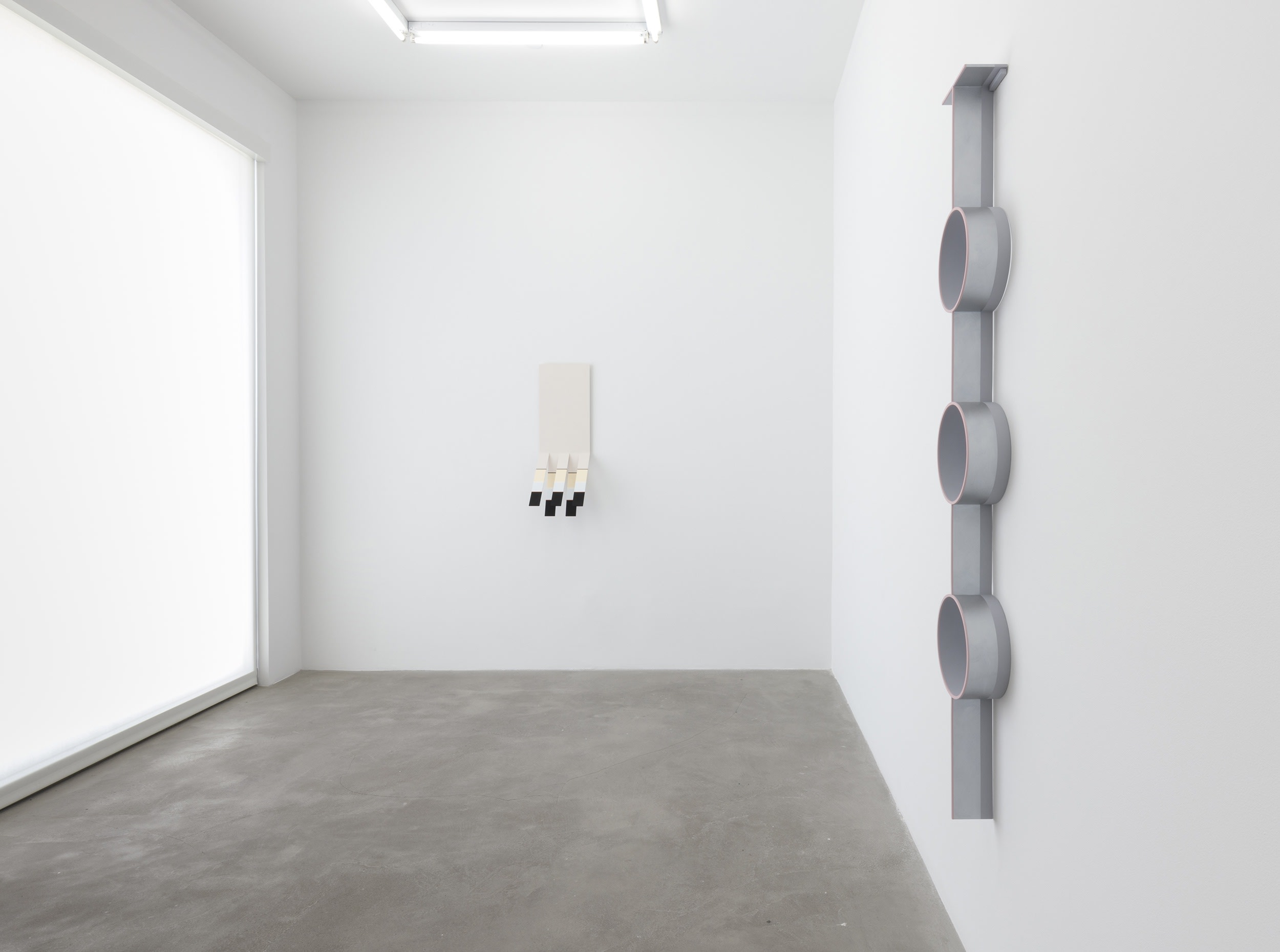 Williamson installation view