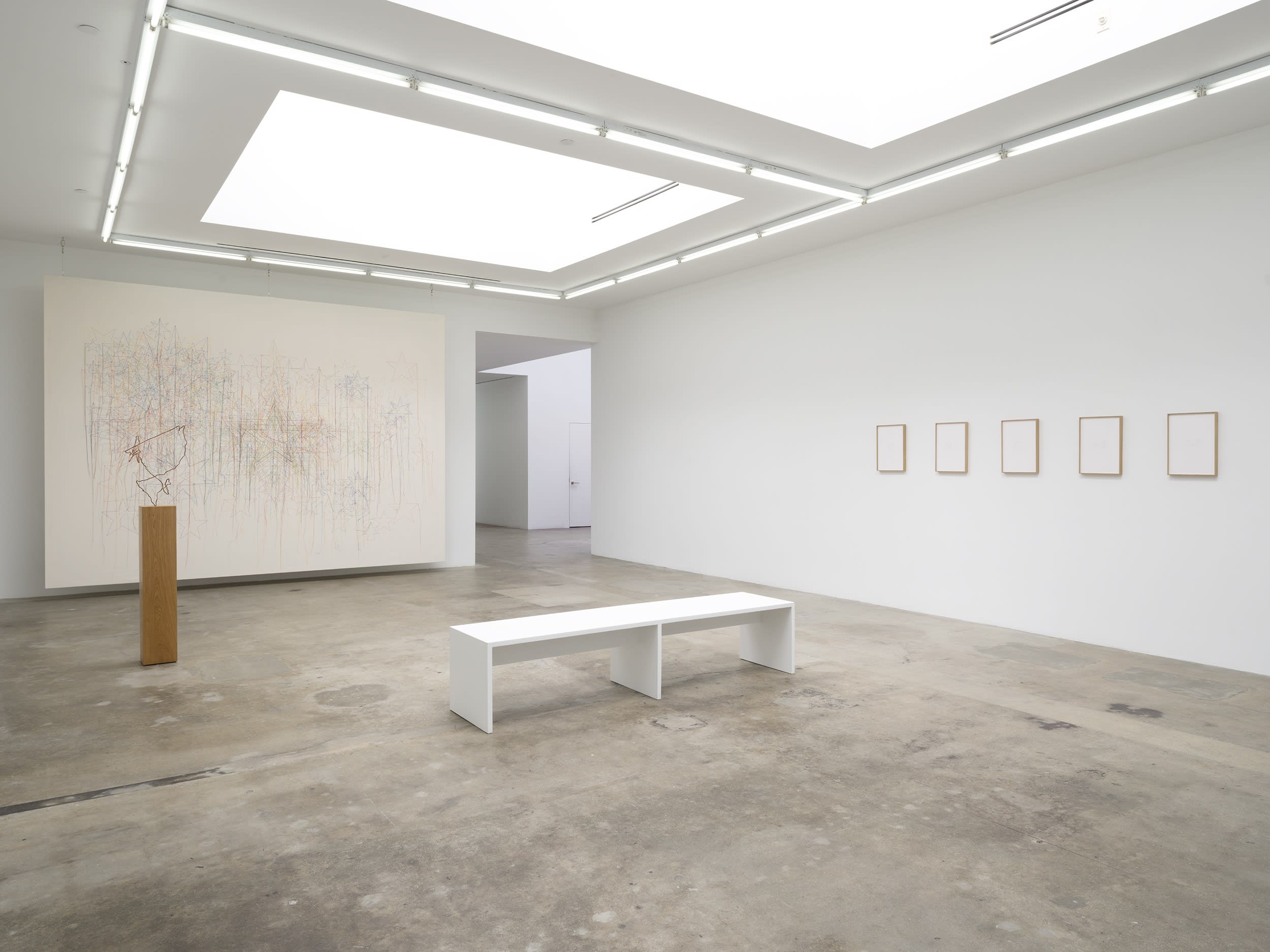 Installation view of Shilpa Gupta Some suns fell off