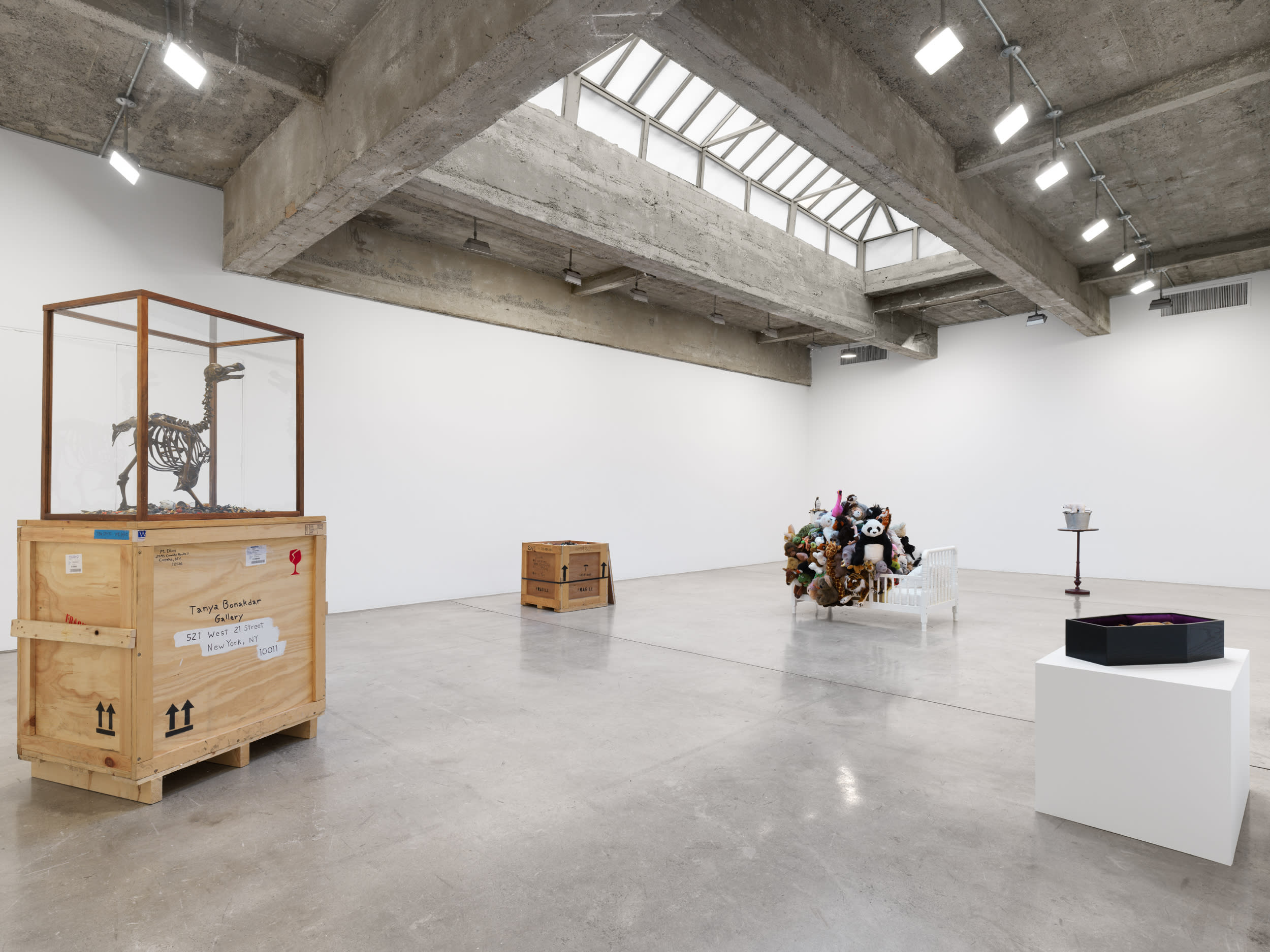 dion installation image