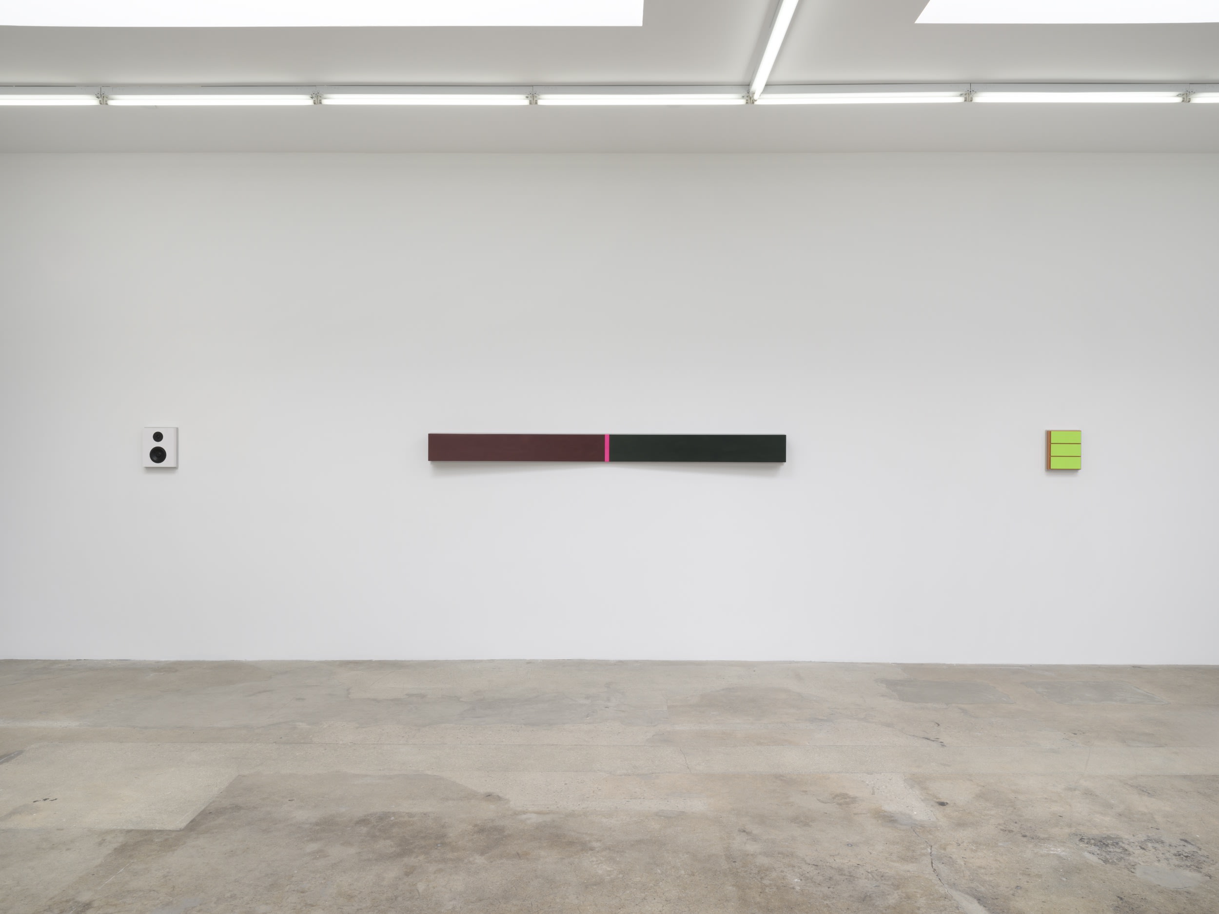 installation image of lisa williamson in LA