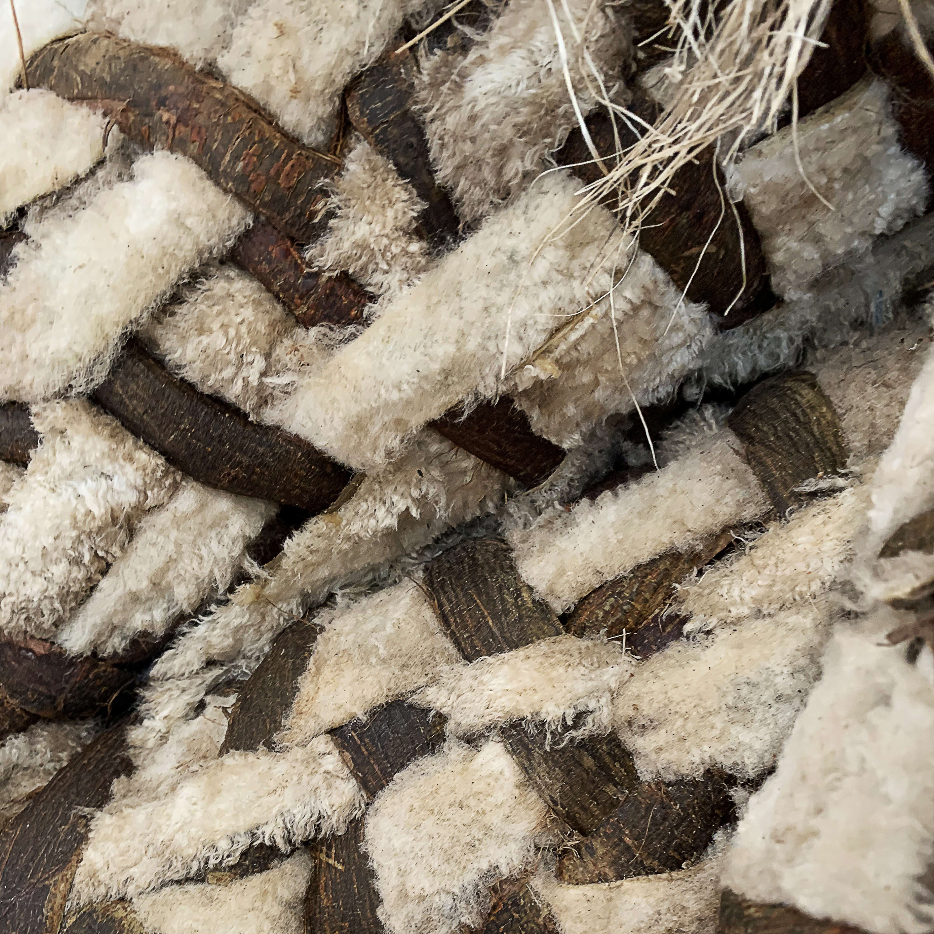 Jacques Dhont The Busy Bee Has No Time For Sorrow, 2021 Wattle bark, wood, sisal, sheepskin, metal and enamel paint...