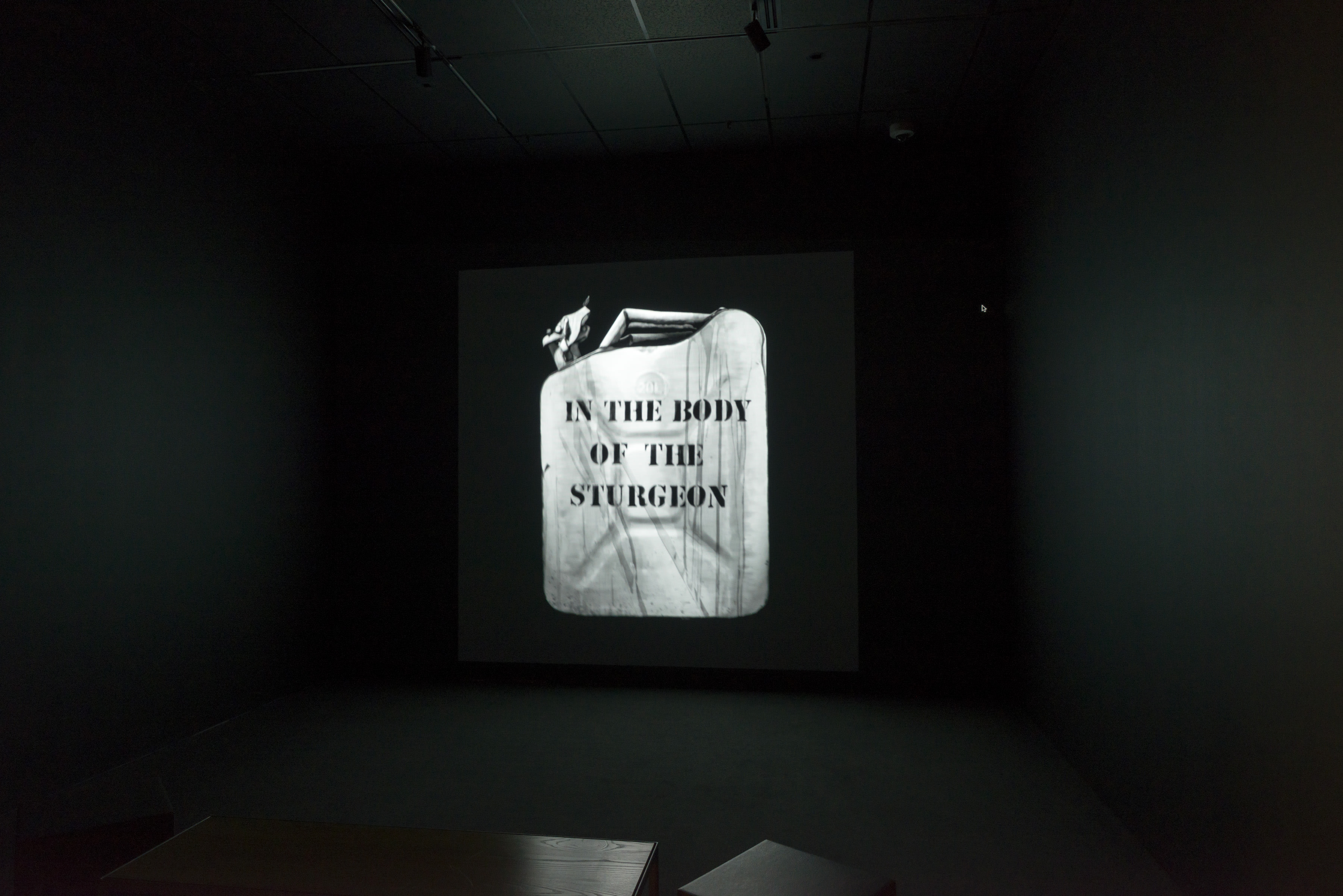 Mary Reid Kelley We are Ghosts