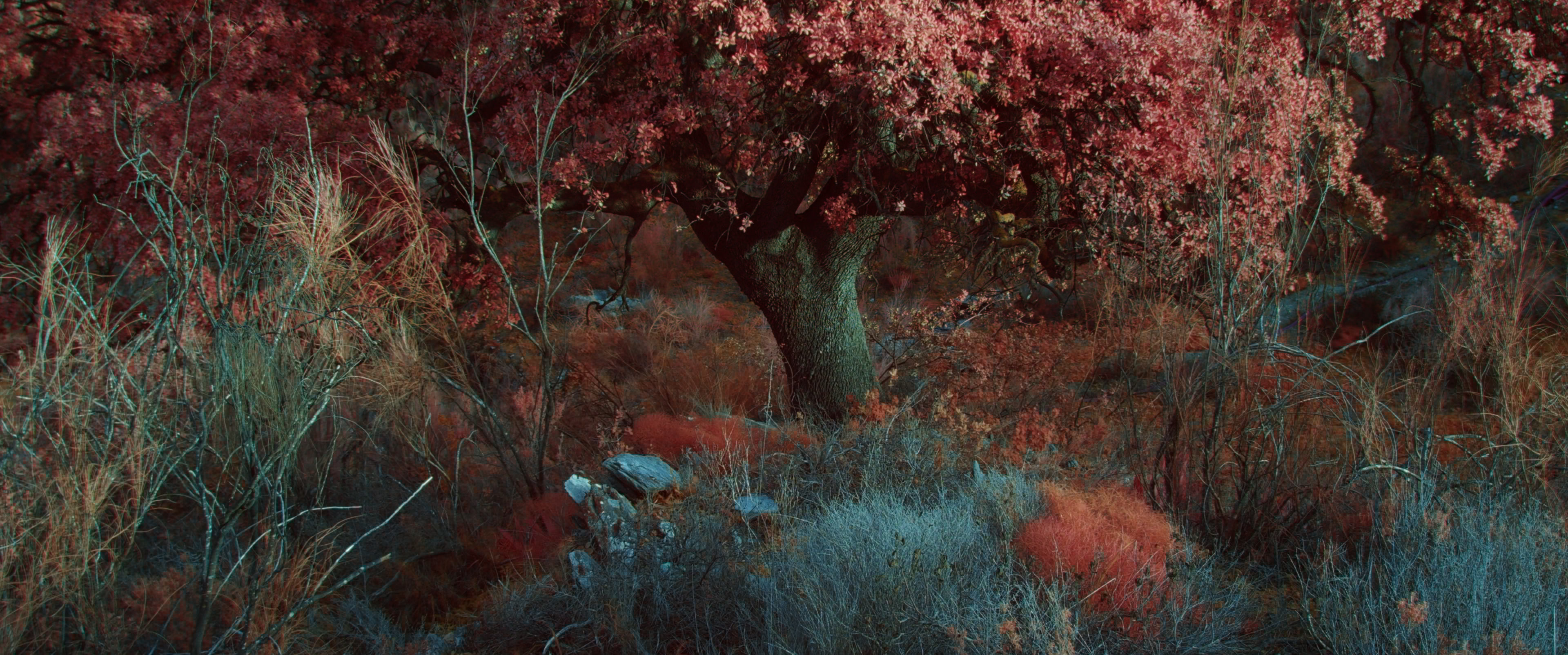 Philippe Parreno El Almendral