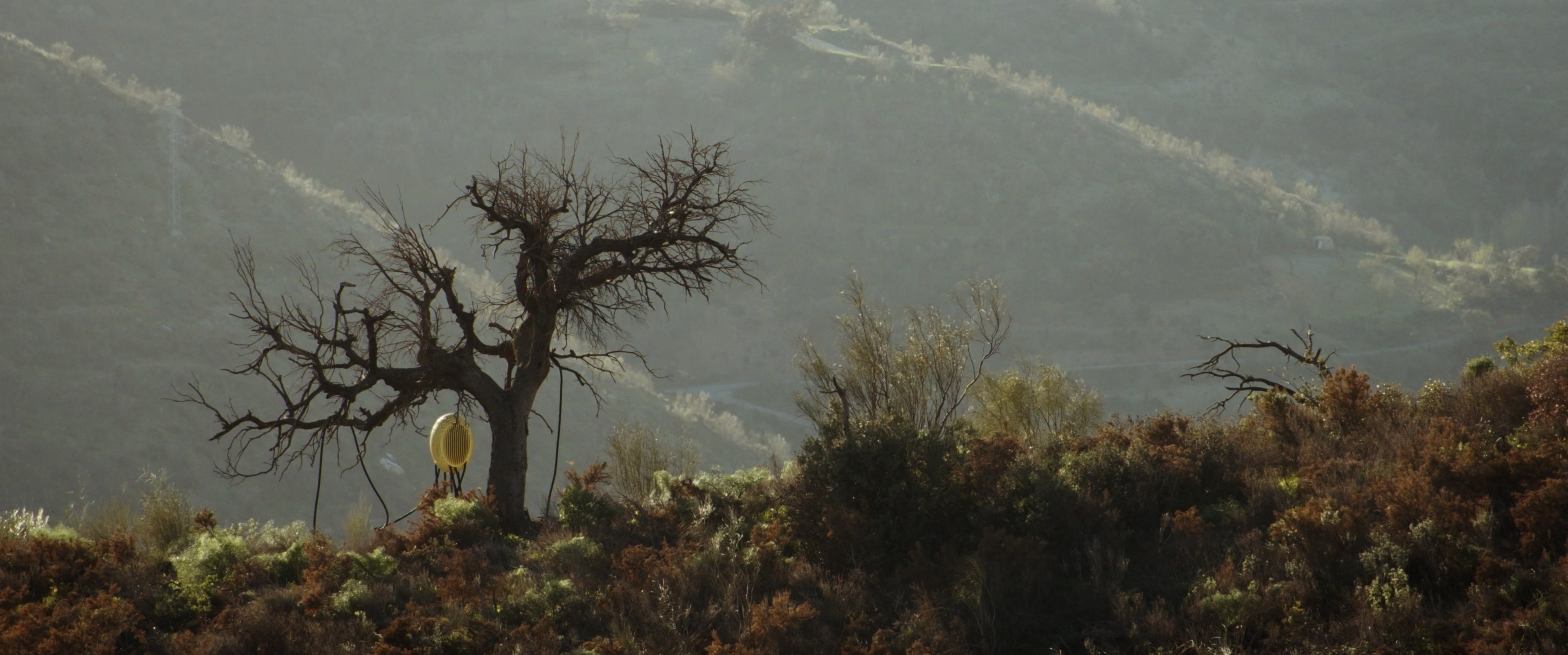 Philippe Parreno El Almendral