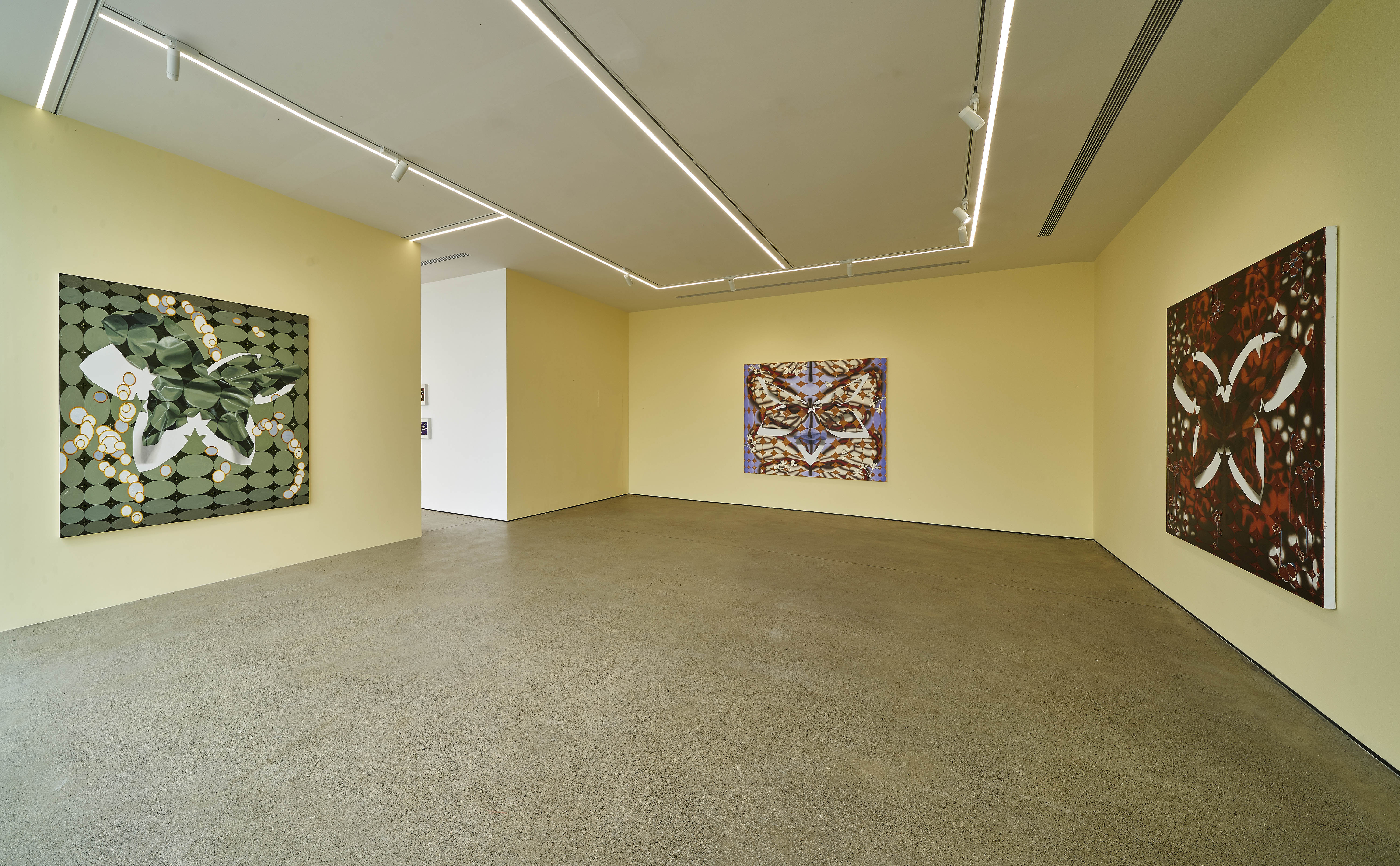 Vivien Zhang Paths Unseen