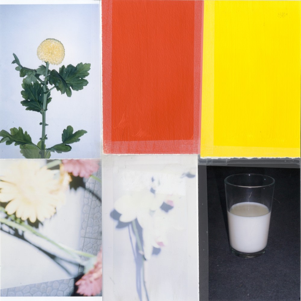 Julião Sarmento Remarks on Colour