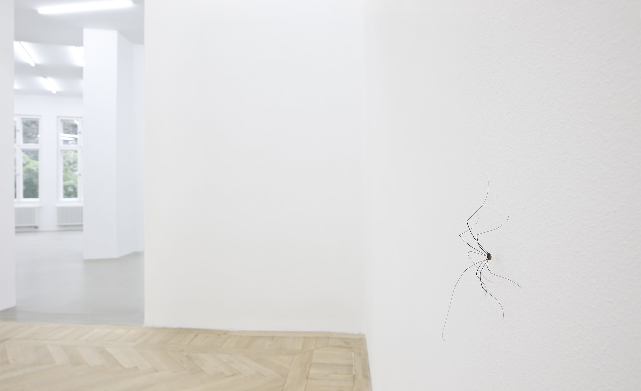 Influants Pierre Huyghe