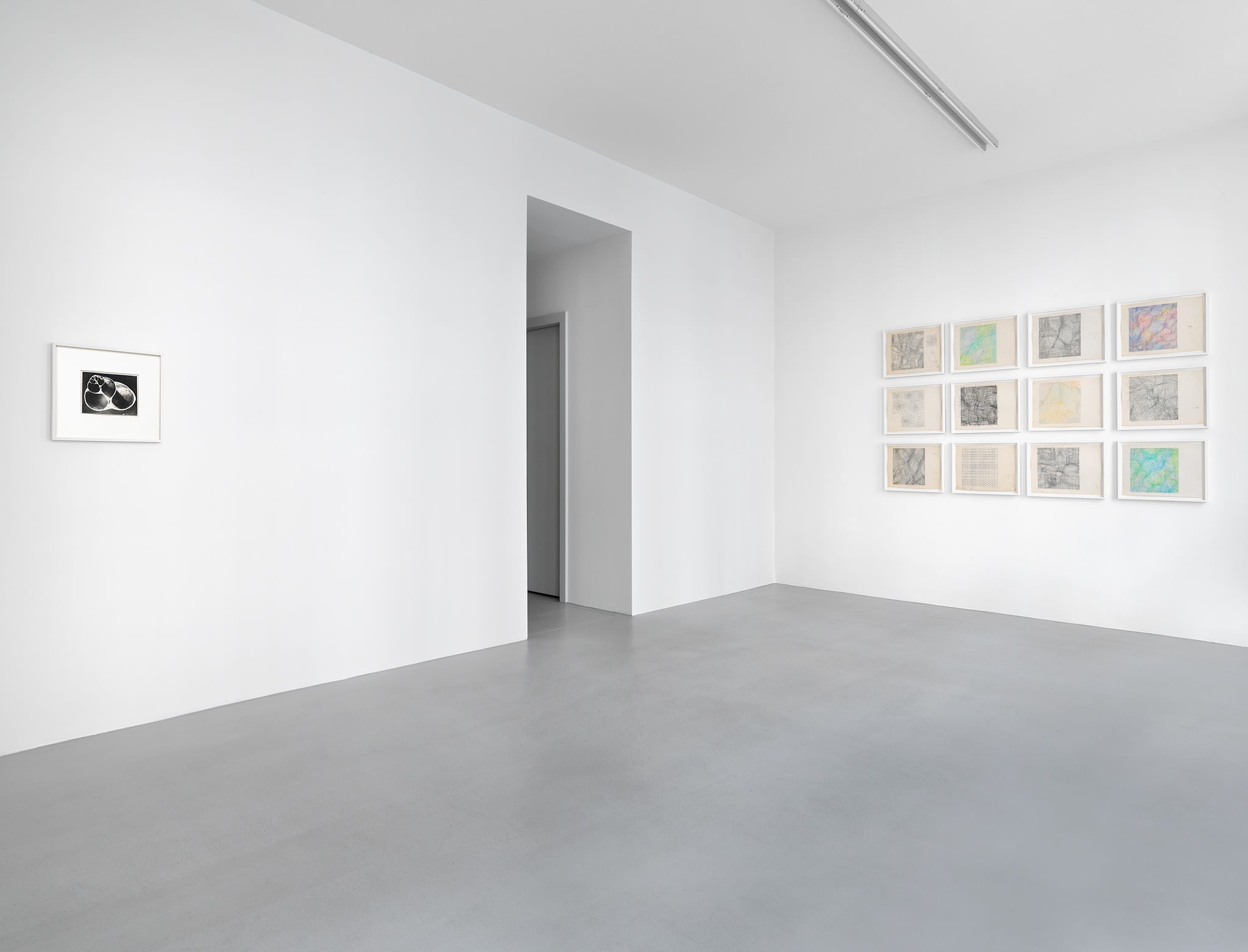 De Natura Rerum Stefan Bertalan