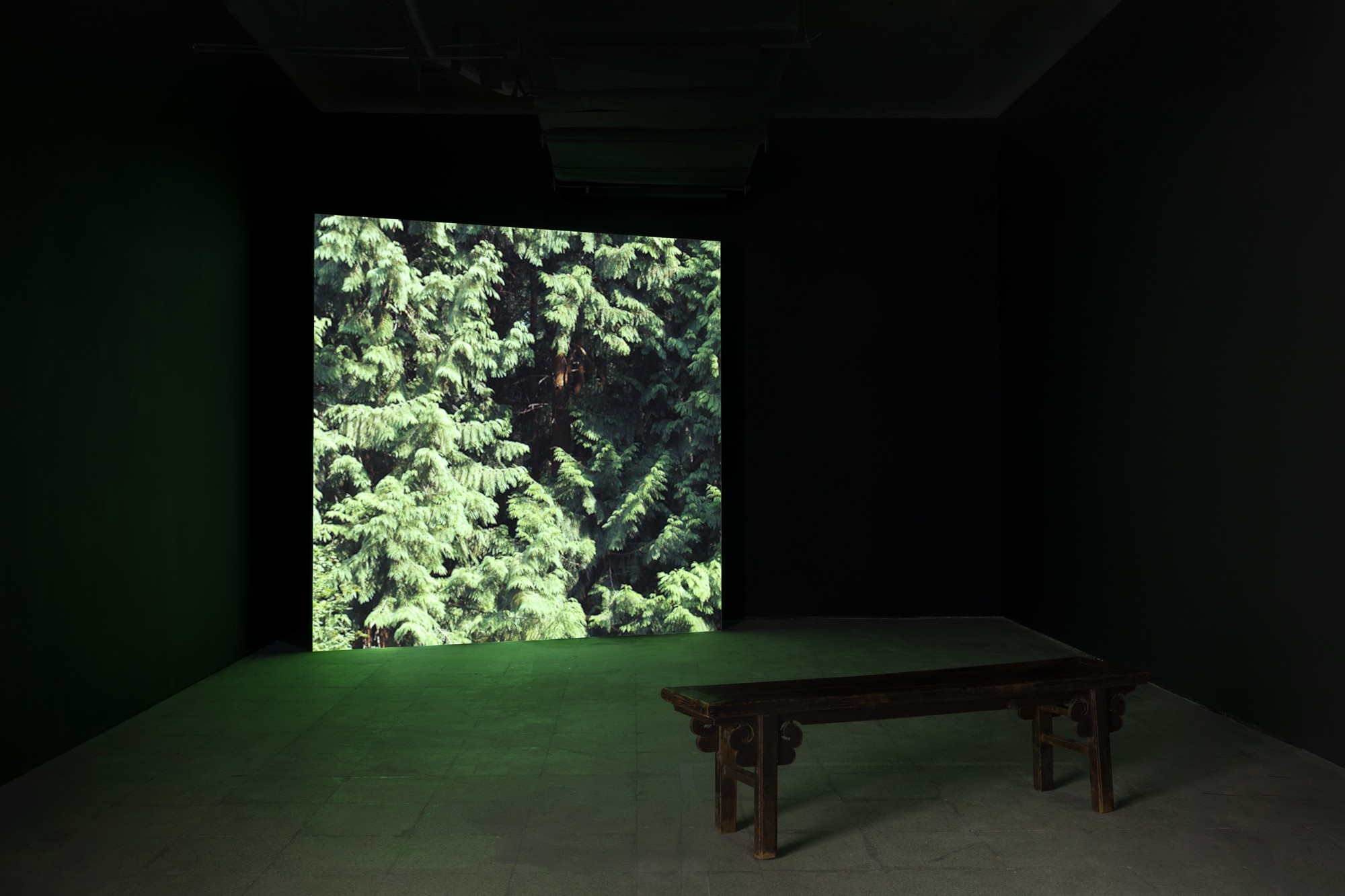 David Claerbout, Wildfire Gallery Weekend Beijing 2023