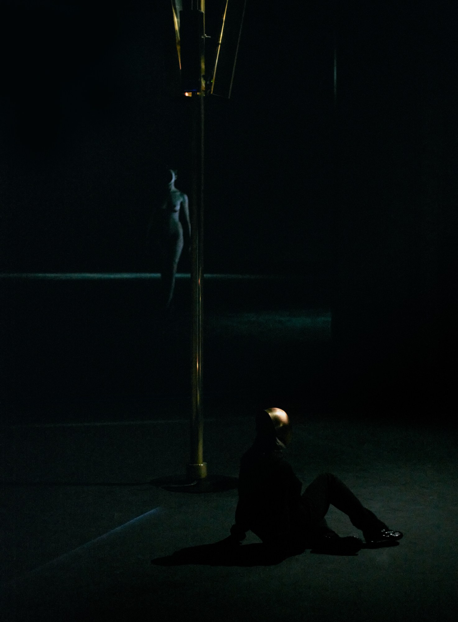 LIMINAL Pierre Huyghe