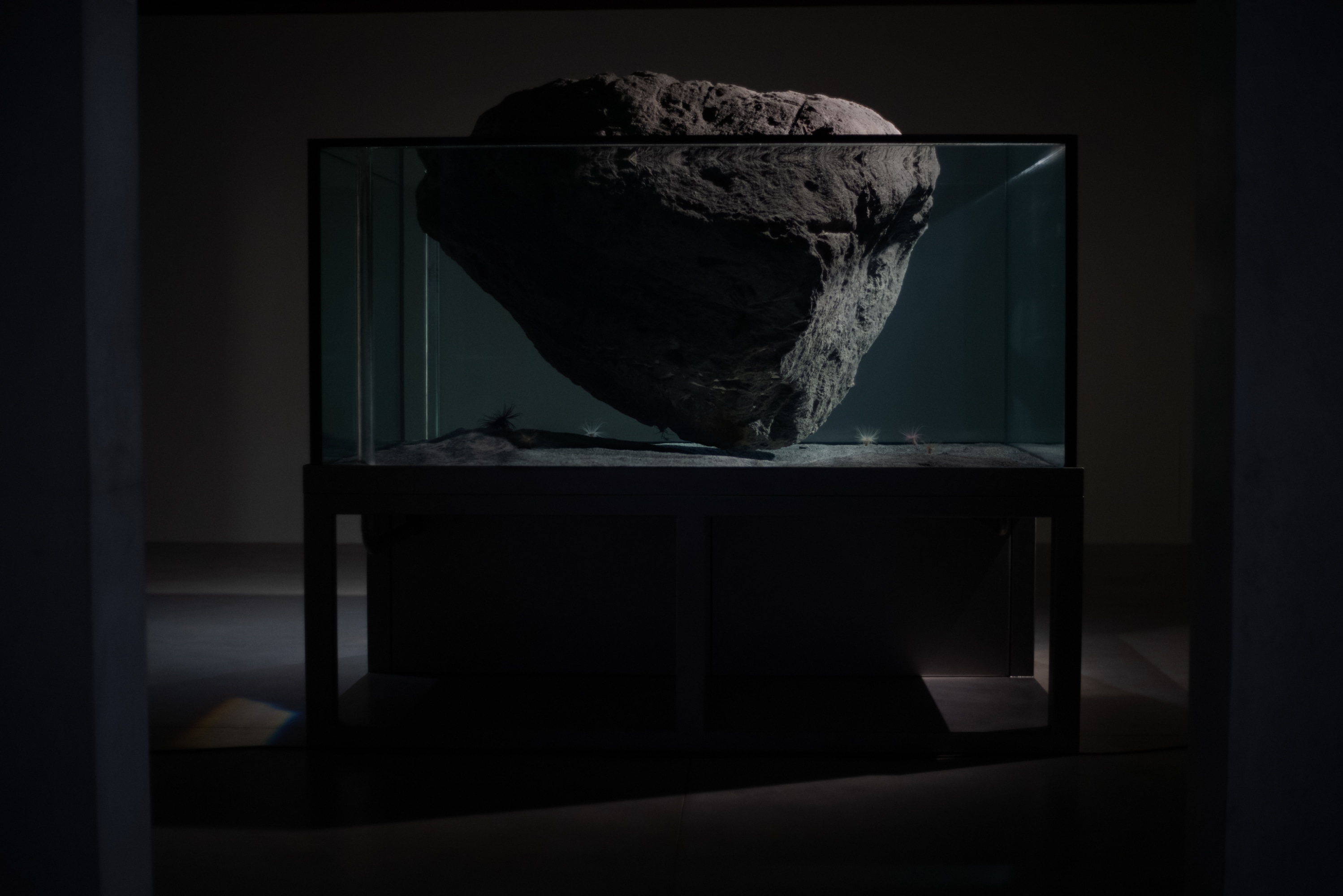 LIMINAL Pierre Huyghe