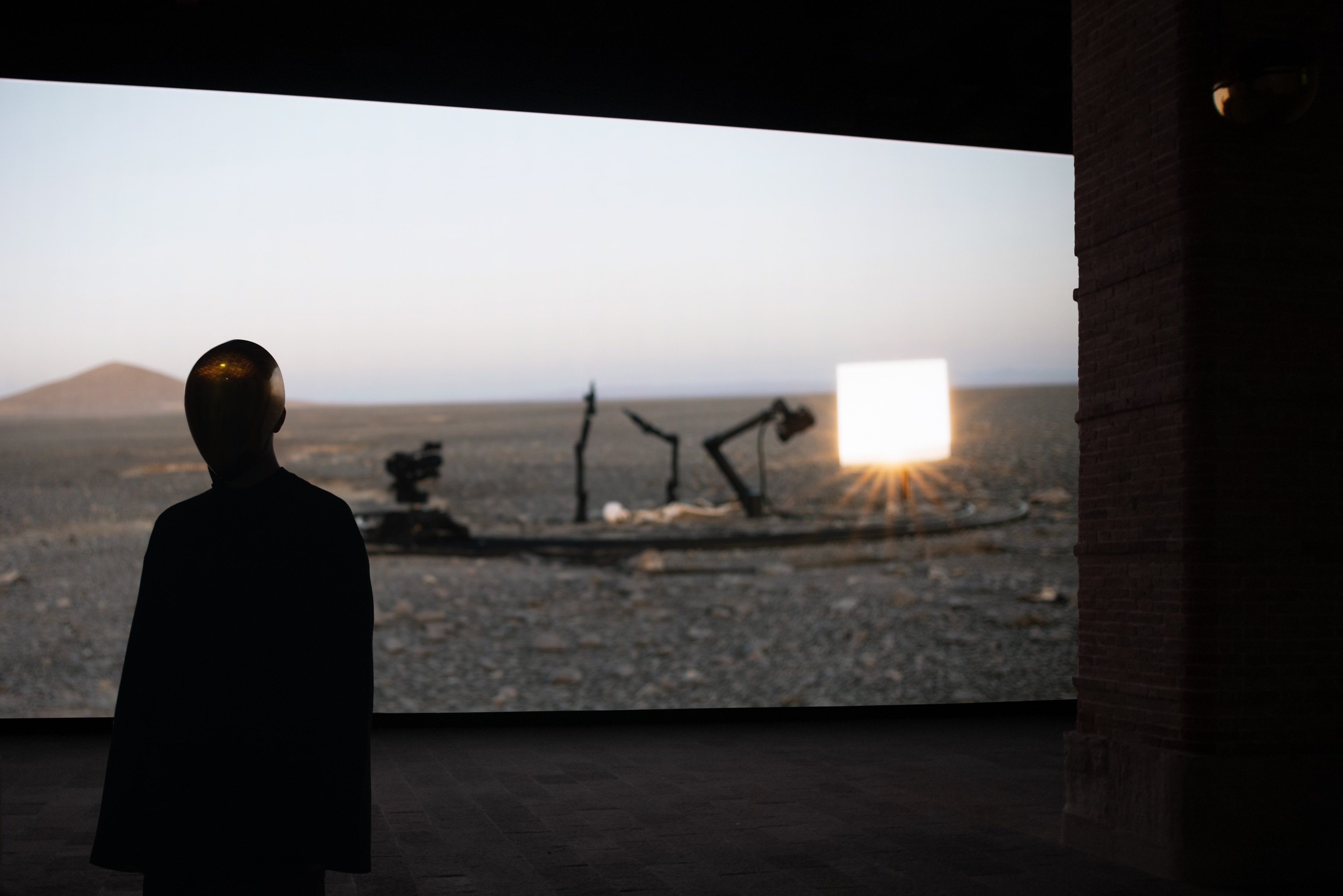LIMINAL Pierre Huyghe