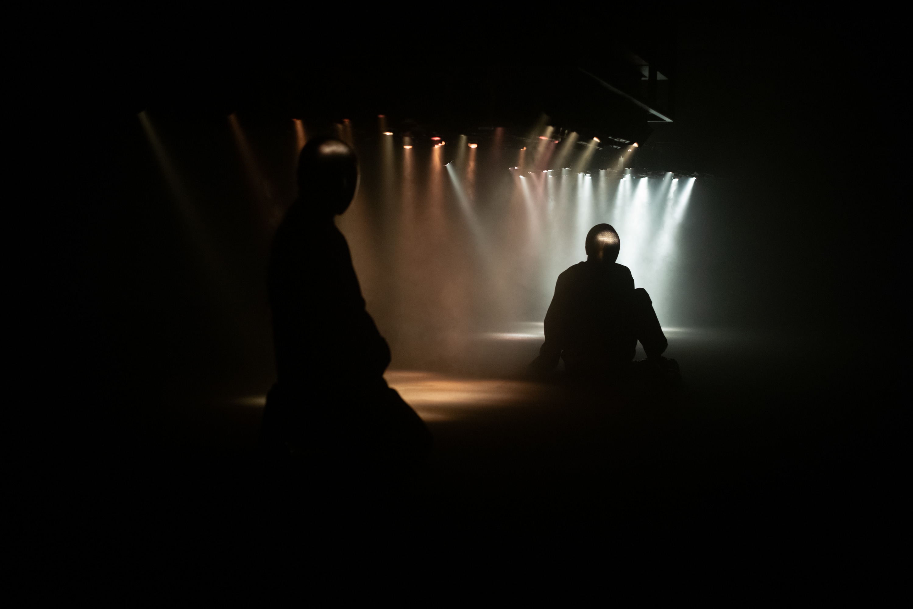 LIMINAL Pierre Huyghe