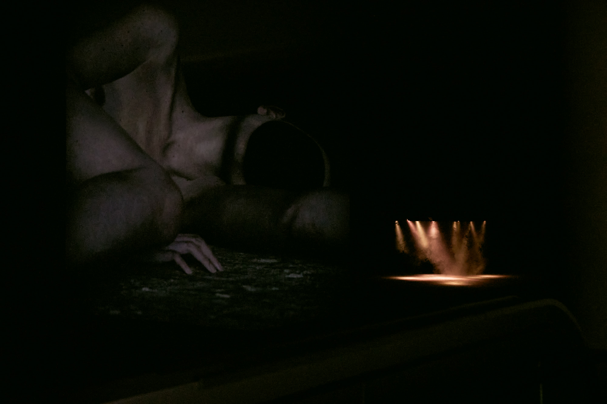 Liminal Pierre Huyghe