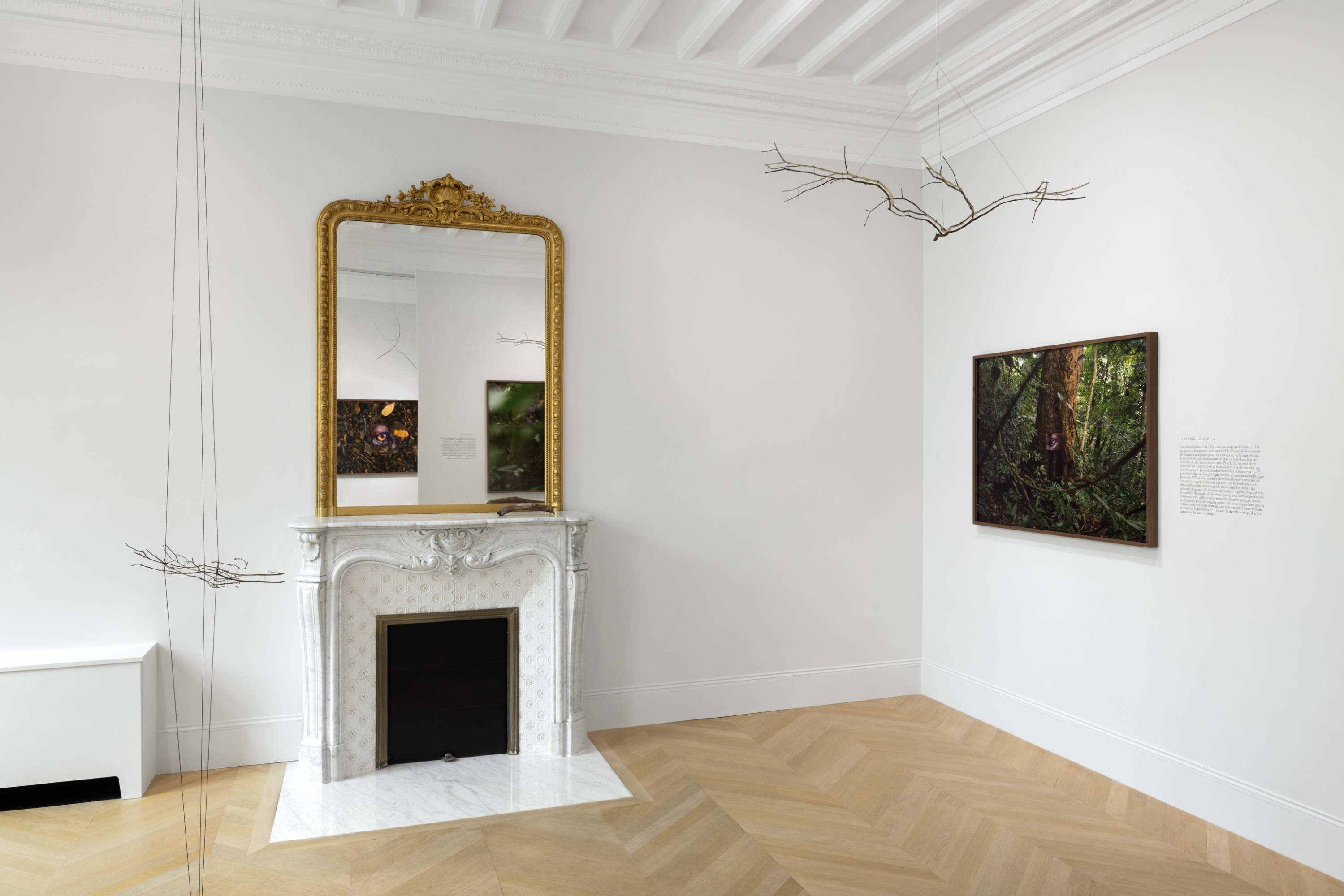 La Pensée Férale Daniel Steegmann Mangrané