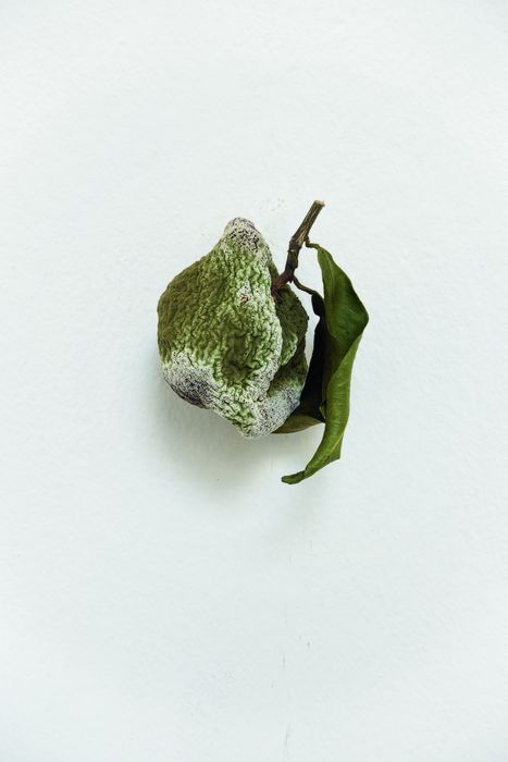 Our Voices. Following the Traces of Female Visual Artists. 75th Anniversary of Deutscher Künstlerbund With Karin Sander