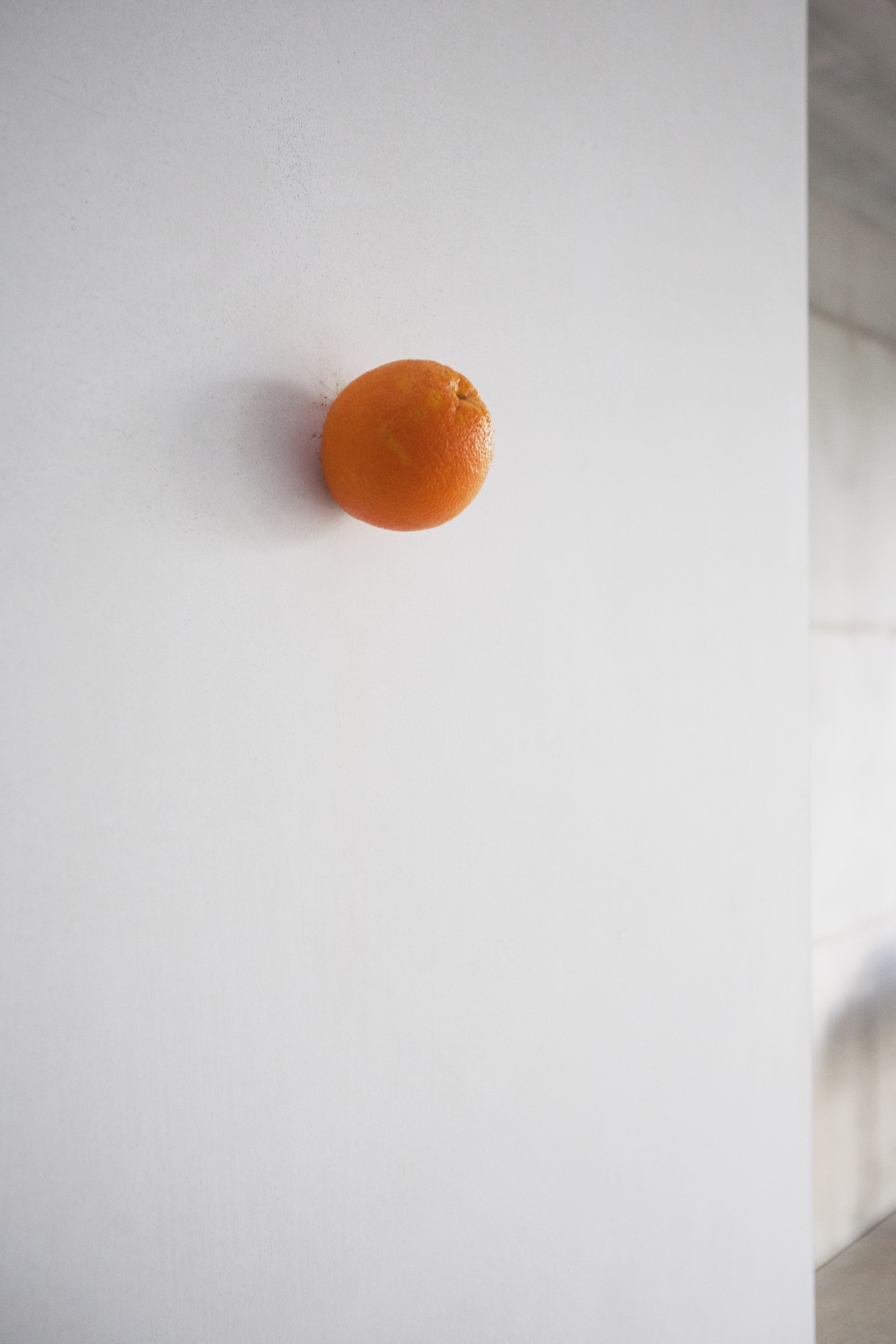 Our Voices. Following the Traces of Female Visual Artists. 75th Anniversary of Deutscher Künstlerbund With Karin Sander