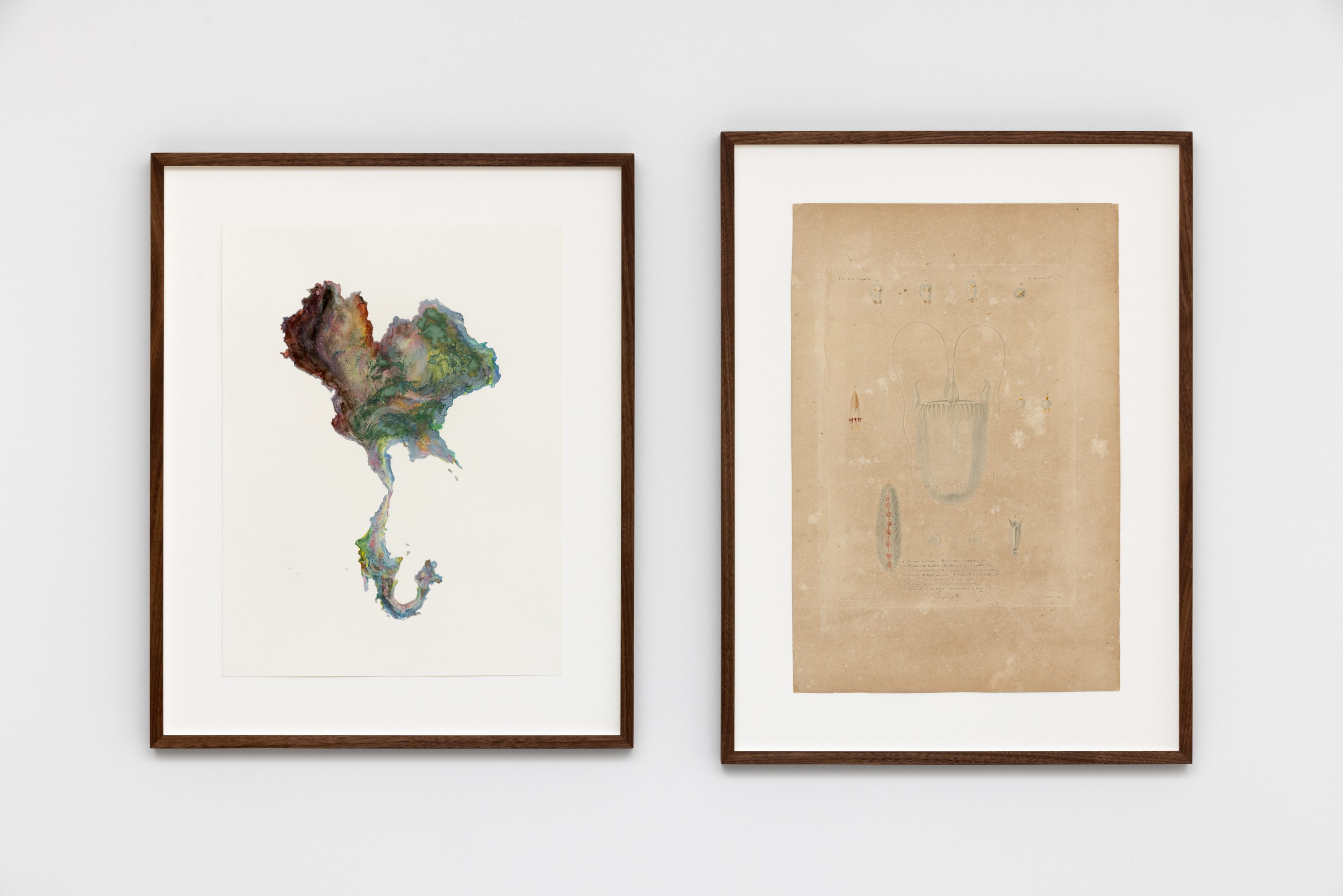 WoW! Works of Wonder With Anri Sala