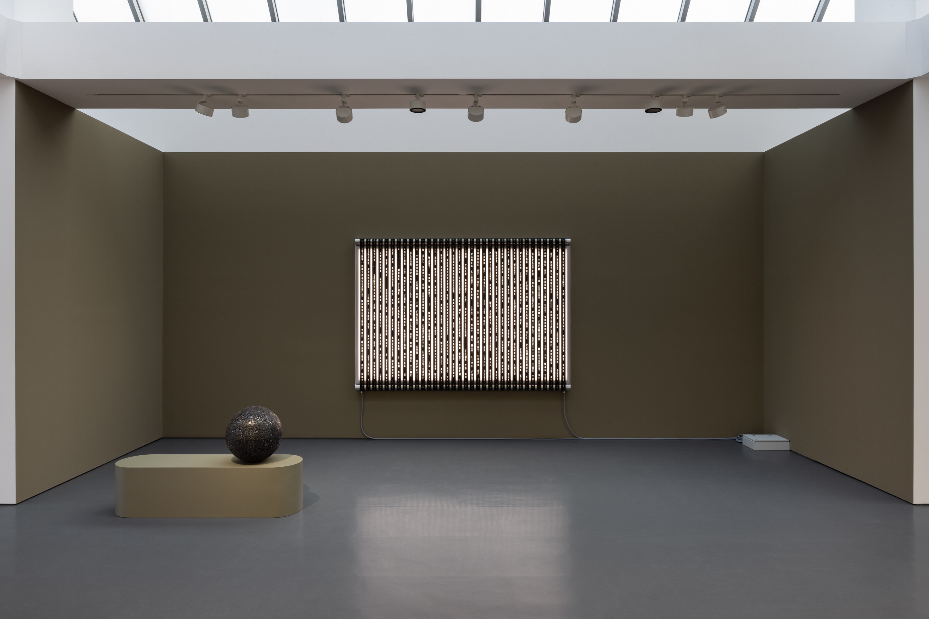 They Are Taking All My Letters Rosa Barba