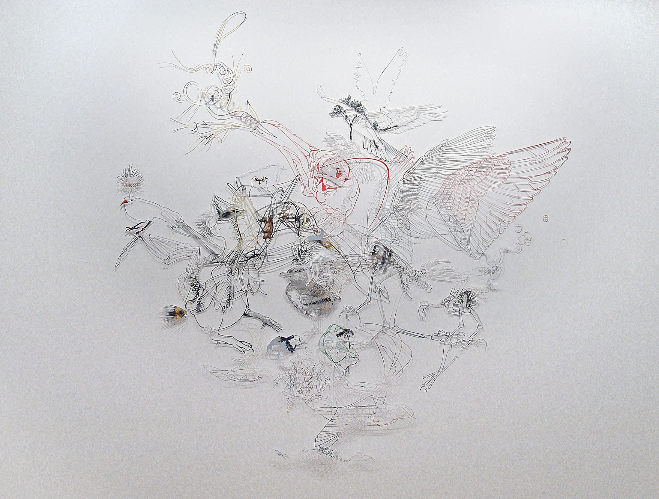 Maggie Cardelus Bird People