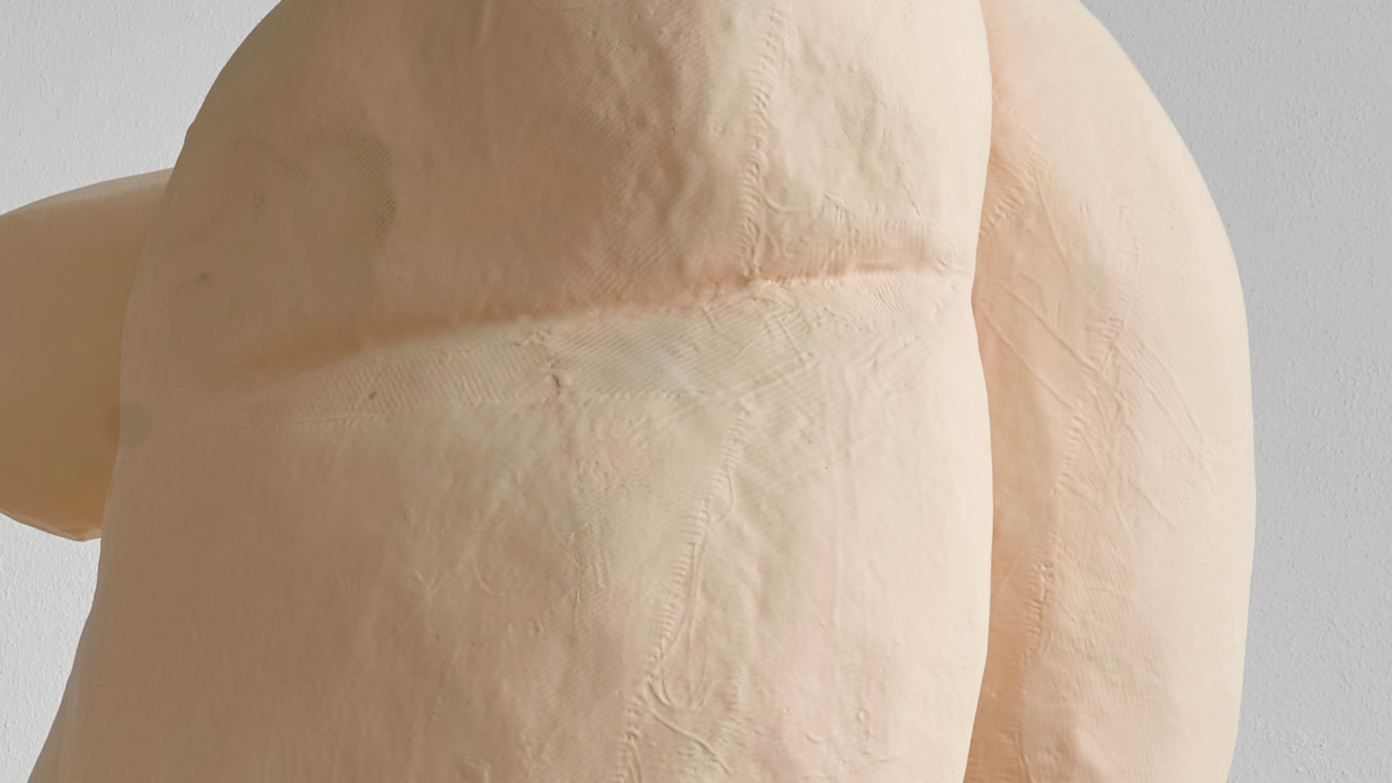 Erwin Wurm Surrogates