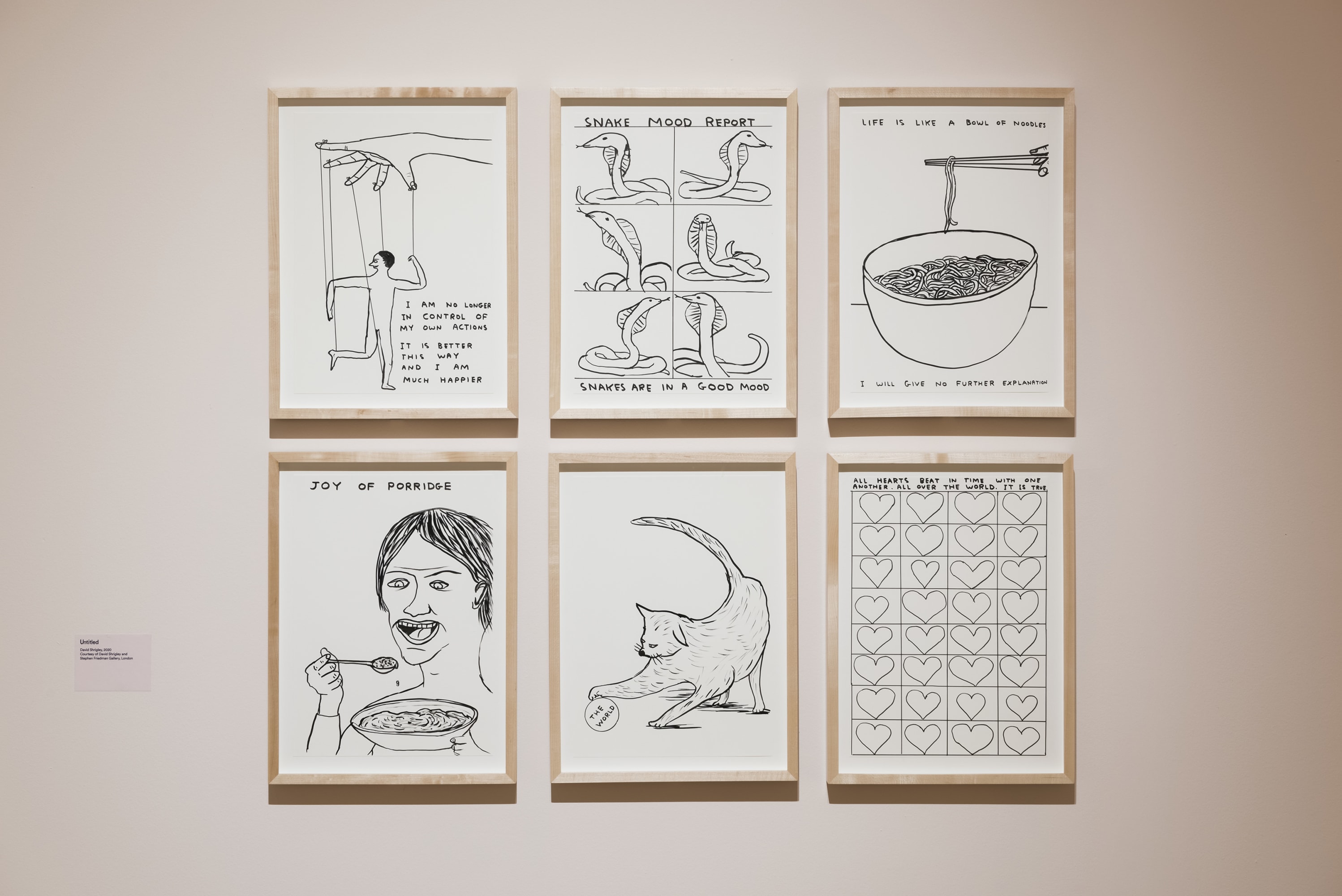 David Shrigley features in 'Joy'