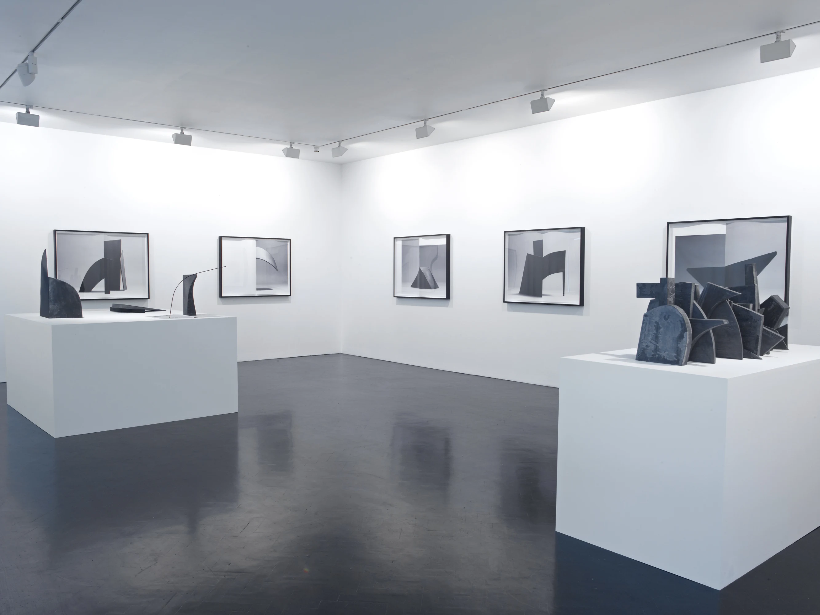 Shapeshift: Sarah Braman, Iran do Espírito Santo, Jim Hodges, Erin Shirreff