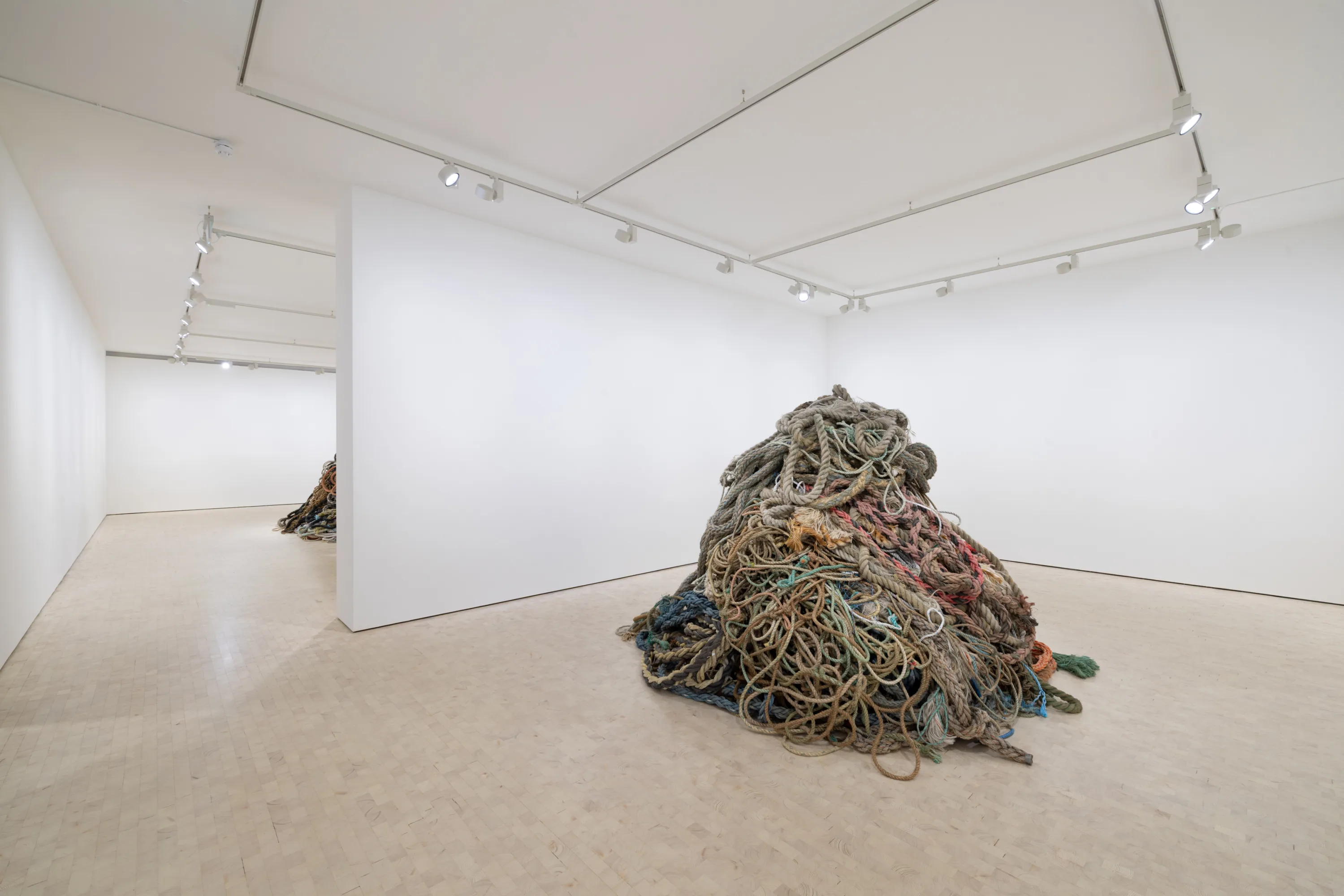 David Shrigley: Exhibition of Old Rope London