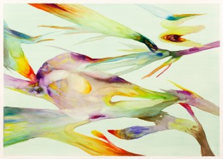 Isabella Nazzarri, Innesti #56, 2016