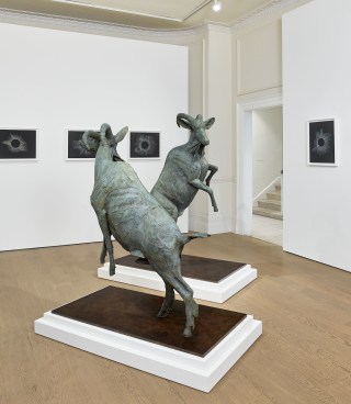 Kiki Smith