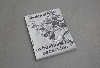 David Maljkovic