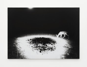 Luca Campestri 卢卡·坎佩斯特里, Trapped 困, 2023