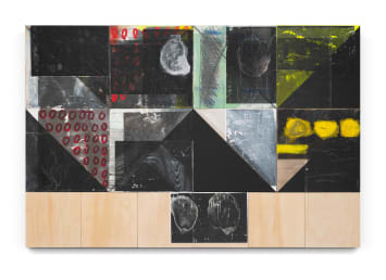 Sara Siestreem (Hanis Coos), foxes on the moon, 2024