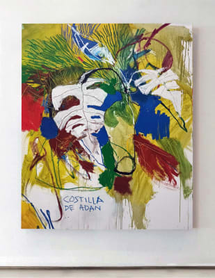 Luis Olaso, Composition for a Monstera and a bottle, 2022