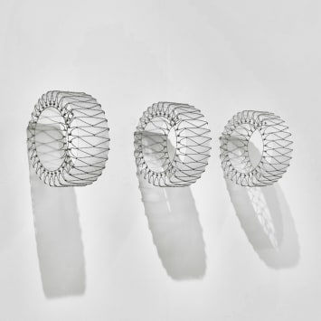 Enrique Garcia, Untitled (Ellipsis), 2025