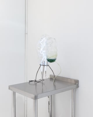 Dia Muñoz, Organoide Enzymatico, 2023