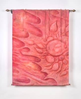 Luis Enrique Zela-Koort, Flesh is a portal, Chronic Transcendence I, 2023-2024