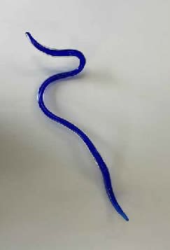 Hannah Bohnen, Line 1, 2025