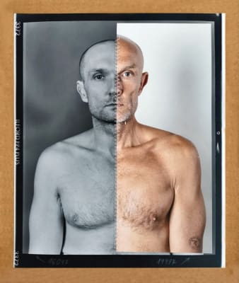 Luboš Plný: Transcendent Anatomy, Online Exclusive