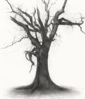 Lelia Henry, Deichtine, 2025 charcoal on paper 167x140cm